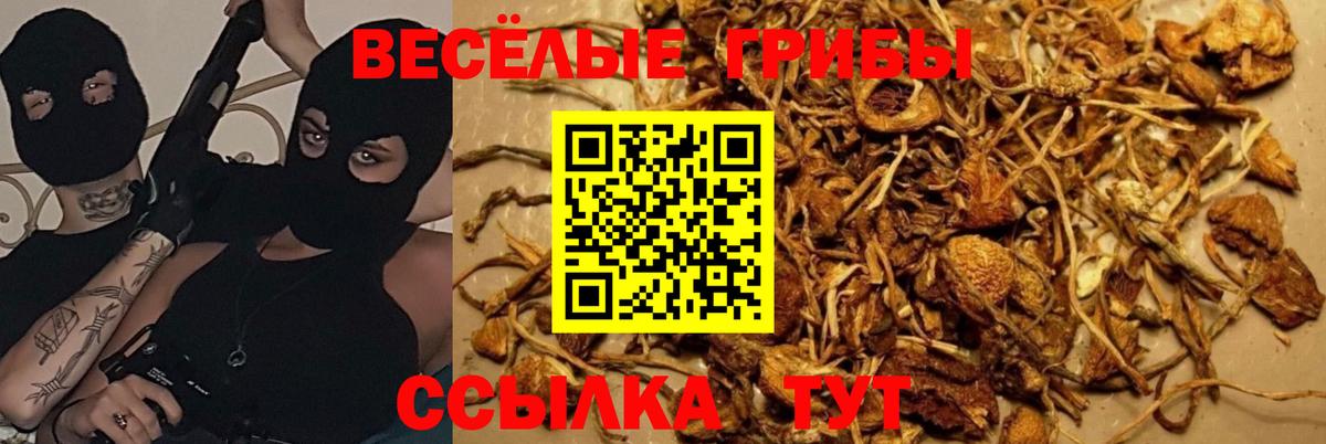 Галлюциногенные грибы мухоморы  Вход с VPN  Прокопьевск 